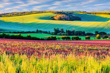 Poster - South Moravia. Bright spring day