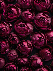 Sticker - floral background of burgundy peonies