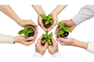 Multiple business hands holding green plants together, symbolizing the collaboration and sustainability of a green business company, isolated on a transparent background.