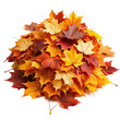 © kanoktuch - Pile of Colorful Autumn Leaves Showcasing Vibrant Fall Foliage in Various Shades of Red, Yellow, and Orange. Isolated on transparent background, png.