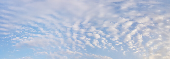 Wall Mural - panoramic blue sky with perfect white clouds