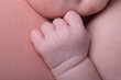 © natrocfort - Tiny little hands newborn human baby parenting motherhood