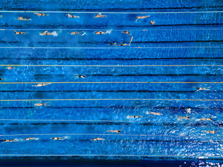 Wall Mural - Swimmers are training in an outdoor pool before the competition, view from a drone, top-down