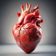 © FARUK AHAMED - 3d realistic human heart