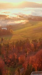 Wall Mural - Tree top observation tower in resort town Krynica-Zdroj at sunrise, Lesser Poland Voivodeship. Aerial drone orbit shot of the wooden loookout tower, Krynica. Fogy morning landscape in Beskid Mountains