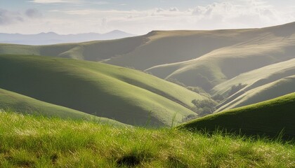 Wall Mural - hi resolution image of fresh green grass isolated against a transparent background