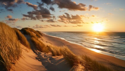 Wall Mural - sunset on the dune beach