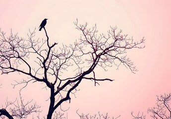 Canvas Print - Silhouette of a Bird on a Bare Tree at Dusk