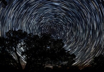 Wall Mural - Star Trails Circle Night Sky With Trees