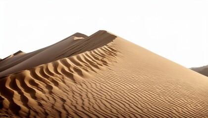 Poster - pile desert sand dune isolated on white clipping path