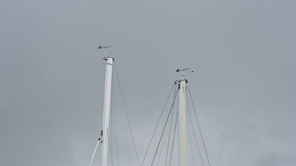 Wall Mural - Masts of sailboats in a marina