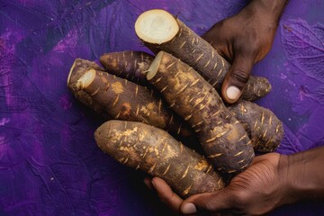 Poster - Organic cassava on purple background hand table