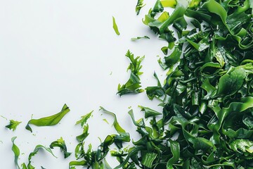 Poster - Seaweed on white background top view