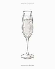 Champagne. Prosecco. Alcoholic sparkling drink in an elegant glass. Illustration for drinks cards, bar and wedding menus, cards and website graphics.