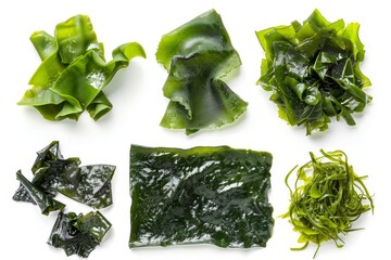 Wall Mural - Wakame seaweed set on white background healthy food collection