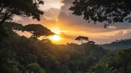 Wall Mural - sun behind dark tree and sunset in tropical forest