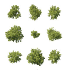 Wall Mural - masterplan view green trees cutout 3d render premium png set isolated png on a transparent backgroun