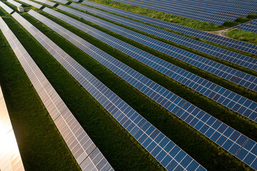 Wall Mural - Solar panels sits on verdant field, surrounded by lush grass and plant life. Sustainable urban design blends with the natural landscape of wood and water