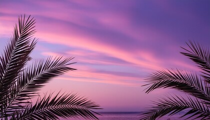 Wall Mural - palm leaves against a background of purple sky natural background