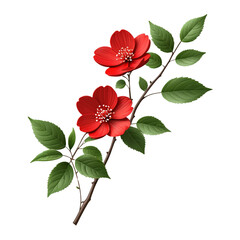 Canvas Print - Vibrant Red Blossoms on a Branch with Green Leaves.  flowers botanical isolated on transparent background. 