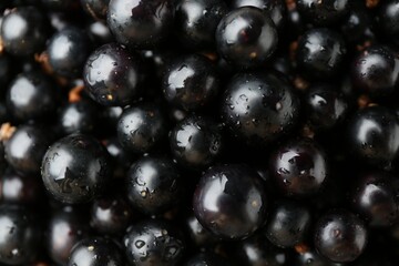 Wall Mural - Ripe black currants as background, top view
