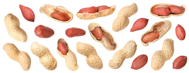 Wall Mural - Many different peanuts isolated on white, set