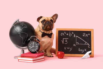 Sticker - Cute French bulldog with school supplies and blackboard with text BACK TO SCHOOL on pink background