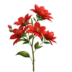 Canvas Print - Vibrant Red Blossoms on a Branch with Green Leaves.  flowers botanical isolated on transparent background. 