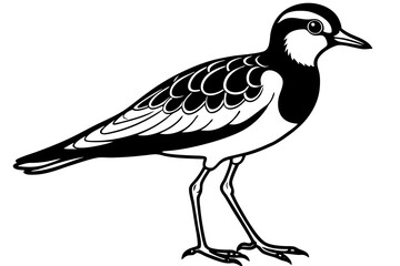 Wall Mural - lapwing silhouette vector illustration