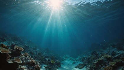 Sunlight beams down through the crystal-clear ocean water, illuminating a thriving coral reef below