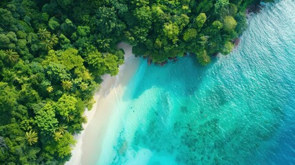 Wall Mural - Aerial view of a tropical island paradise, white sand beaches, turquoise lagoons, and lush rainforest