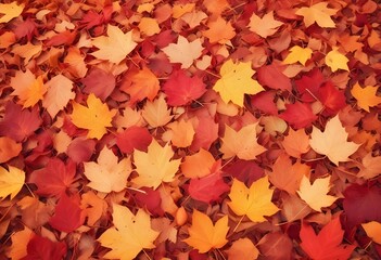 autumn fallen leaves