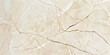 © Pink Rose - Soft Luxury: Crema Marfil Marble Close-Up - Light Beige Veins, High Resolution - Ideal for Warm Designs