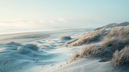Misty morning at the North Sea coast, sand dunes in the foreground, calm landscape view, subtle light, detailed textures, serene and peaceful