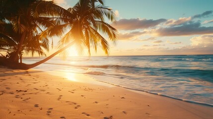 Wall Mural - Sunset on the seashore with palm trees img
