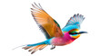 © MONWARA - A colorful bird with a long tail is flying in the air isolated on a white background