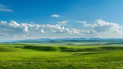 Poster - Landscape with vast steppes and distant mountains img