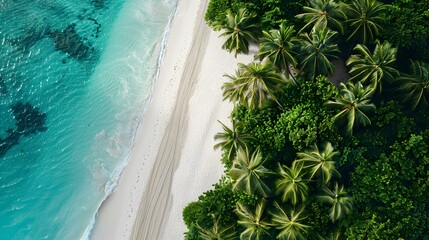 Poster - A deserted beach