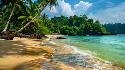 Wall Mural - Tropical beach with coconut trees and crystal picture