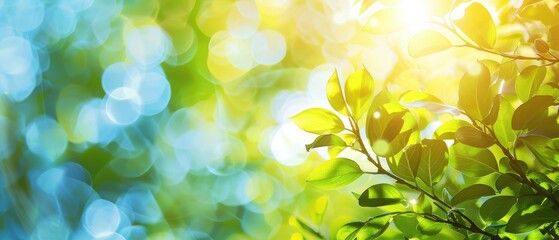 Wall Mural - stunning closeup of a fresh green leaf with a soft focus background and a bright, sunny light shining through