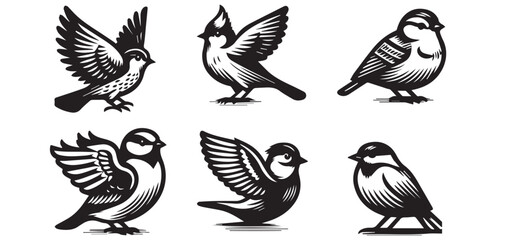 Bird silhouette collection. Set of black bird silhouettes. Vector elements for design.