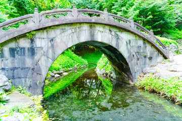 Wall Mural - bridge over the river