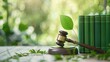 © Purichaya - Gavel and a stack of renewable energy law books, green governance, environmental protection