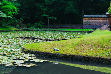 Canvas Print - park in the park