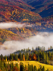 Wall Mural - wonderful autumn scene in mountains, autumn morning dawn, spectacular nature background, Carpathians mountains, Ukraine, Europe	