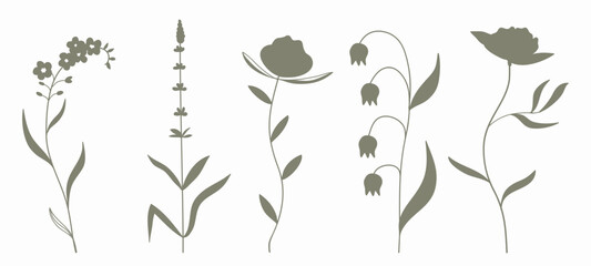 Silhouette botanical graphic drawing, floral elements .