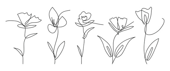 Poster - Single line art vector flower illustration collection.