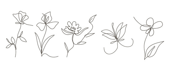 Canvas Print - Single line art vector flower illustration, outline set of blooming flowers