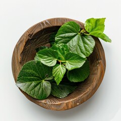 Wall Mural - Fresh green leaves arranged in a wooden bowl