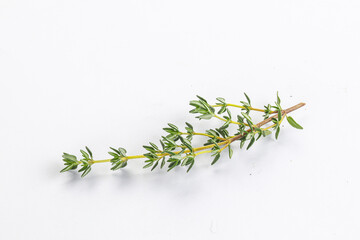 Wall Mural - Aroma seasoning thyme stem with leaves